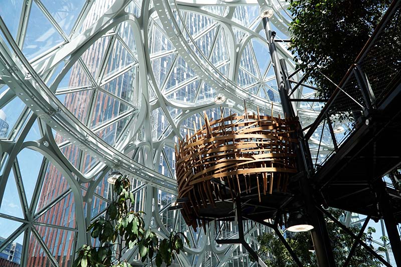 Visiting Seattle Amazon Spheres with Young Toddler